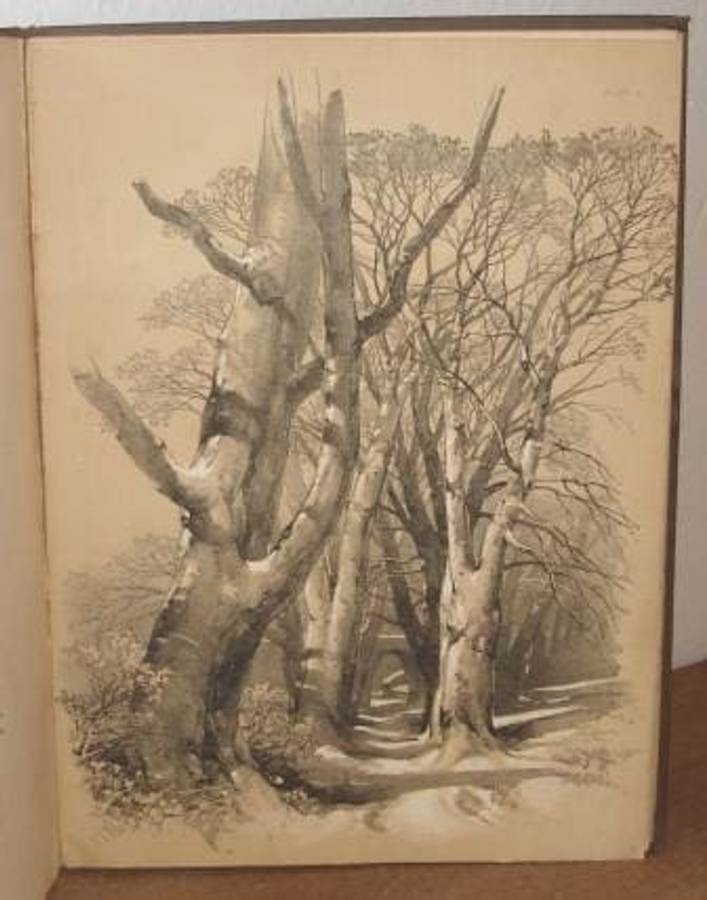 Elementary Art, or the Use of the Chalk and Lead Pencil Advocated and Explained - Harding, J.D