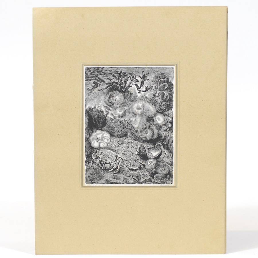 Vijf Houtgravures - Van Gelder, Dirk