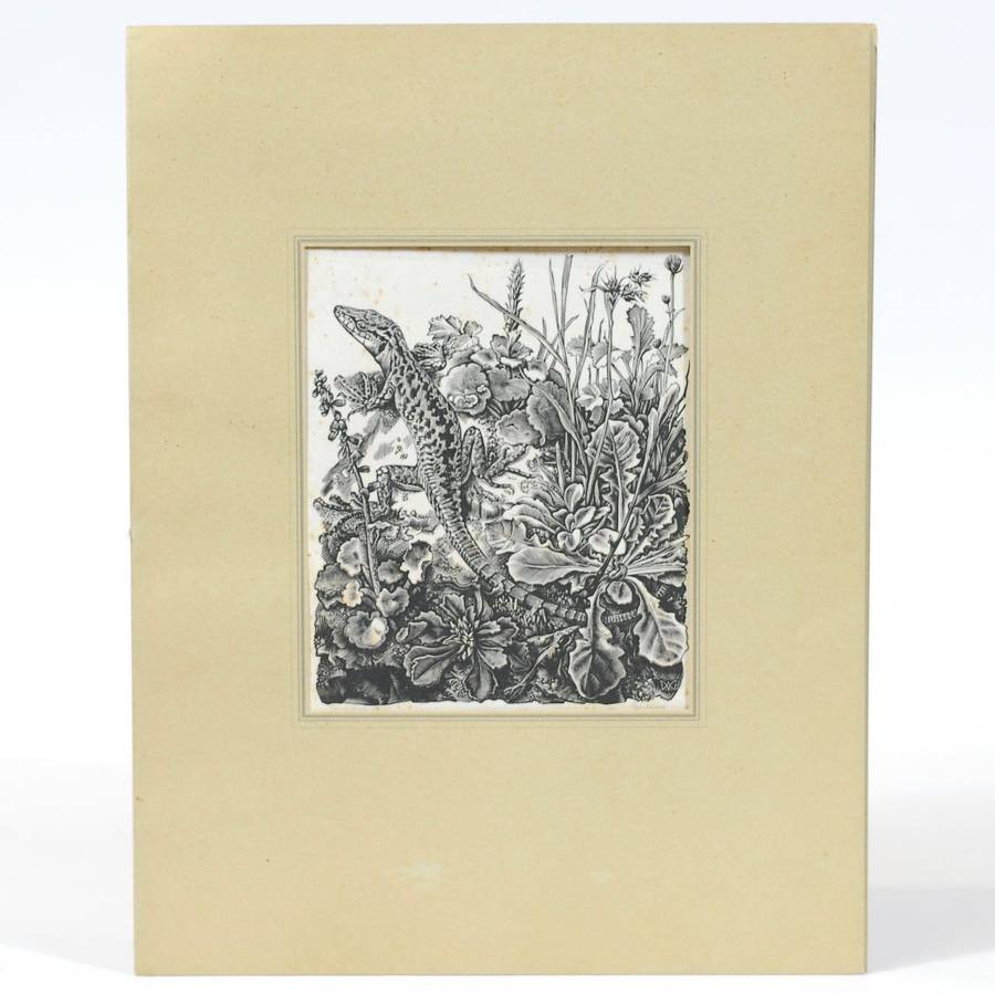 Vijf Houtgravures - Van Gelder, Dirk