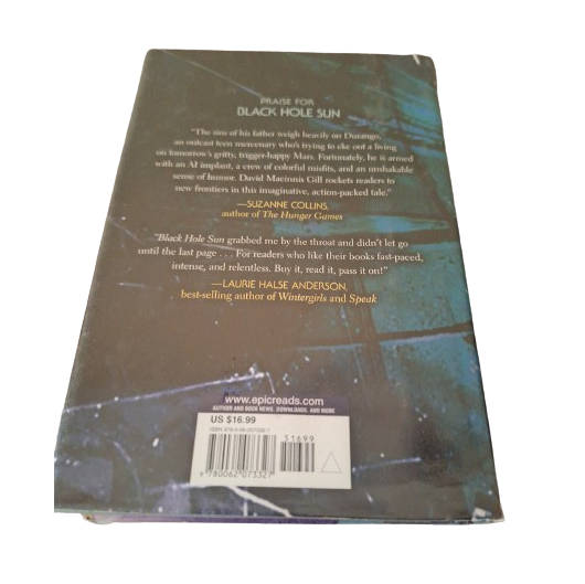 Invisible Sun - David Macinnis Gill