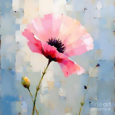 Pink Poppy and Pod [d]