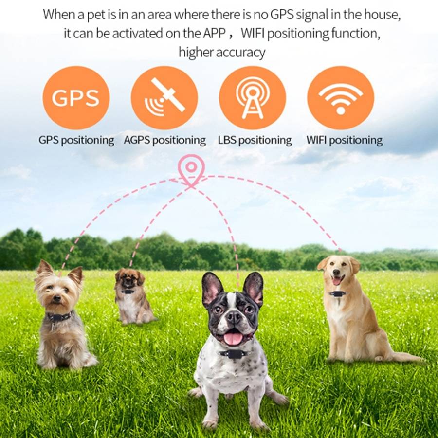 P03 2G Waterproof Pet GPS Tracker GPS+AGPS+WiFi+LBS Locator