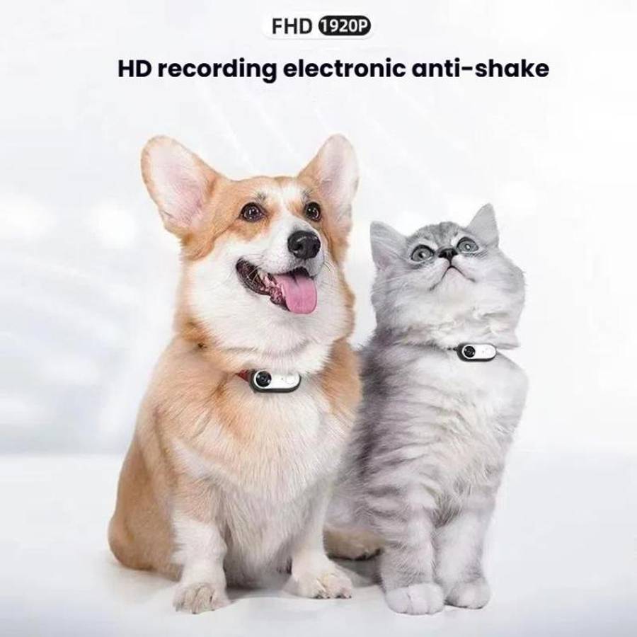 Pet Recorder With Collar Cat Dog View Camera, Direct Record No Memory Card, Direct Record With 16...