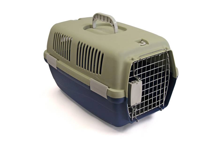 Rex - Pet Travel Case - Small - Grey