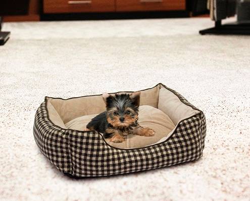 Rex - Foxly Dog Bed - Tartan