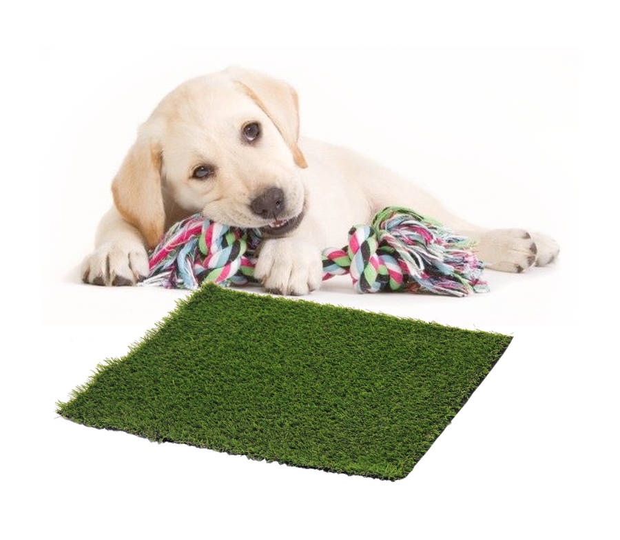 Mrs Pooch Puppy Training Grass 50cm x 50cm