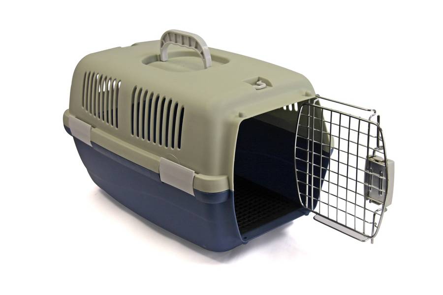 Rex - Pet Travel Case - Small - Grey
