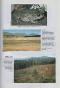 ATLAS AND RED DATA BOOK OF THE FROGS OF SOUTH AFRICA, LESOTHO, AND SWAZILAND