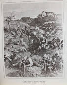 The '96 rebellions The British South Africa Company Reports on the Native Disturbances in Rhodesia