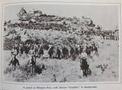 The '96 rebellions The British South Africa Company Reports on the Native Disturbances in Rhodesia