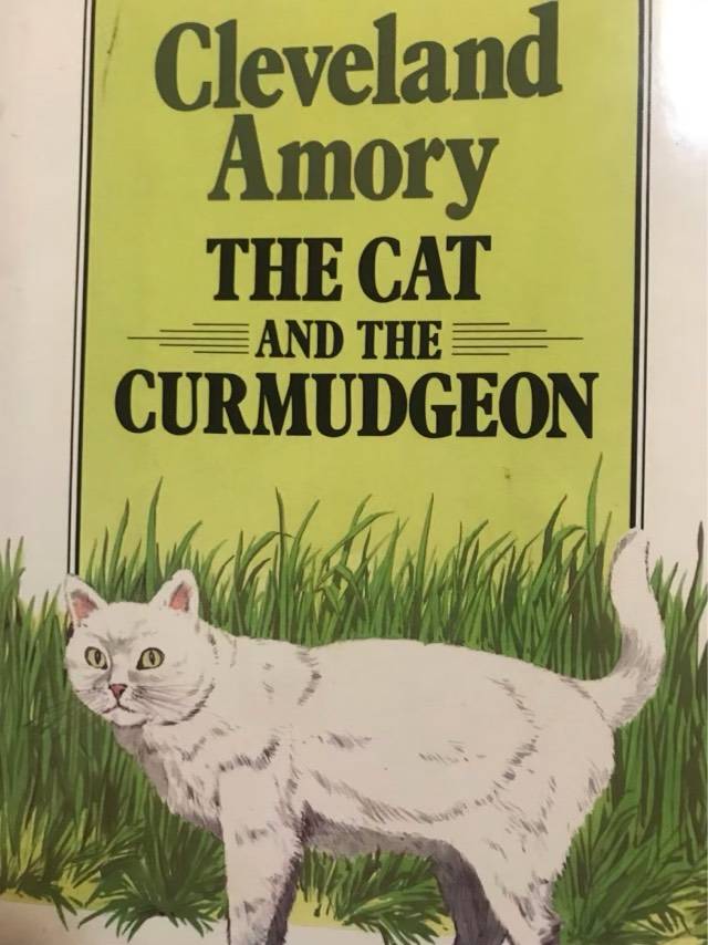 The Cat and the Curmudgeon - Amory Cleveland