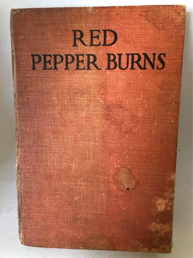 Red Pepper Burns - Grace S.Richmond