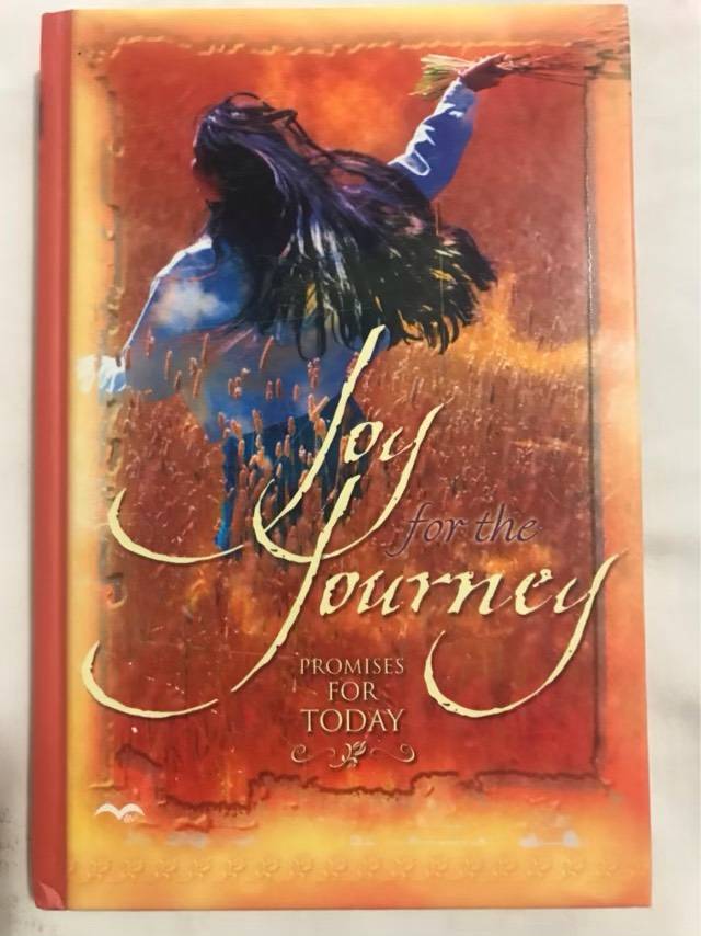 Joy for the Journey - Struik