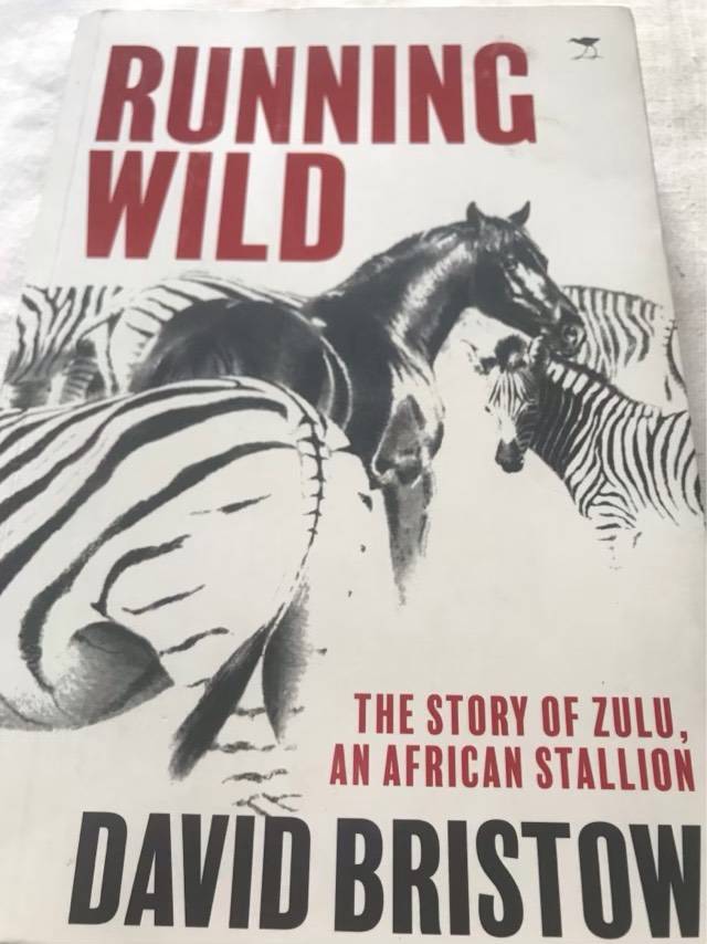 Running Wild, The Story of Zulu, an African Stallion - David Bristow