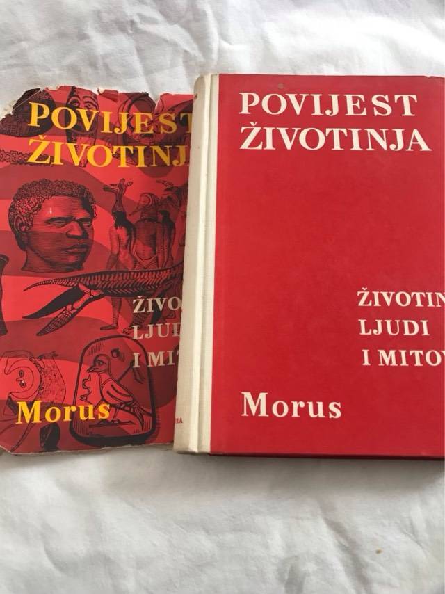 Povijest Zivotinja - Morus