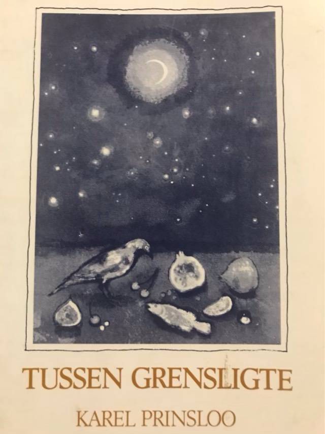 Tussen grensligte - Karel Prinsloo