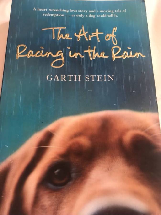The art of racing in the rain, A novel - Garth Stein