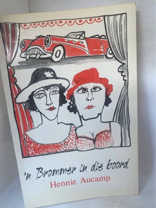 n Brommer in die boord - Hennie Aucamp