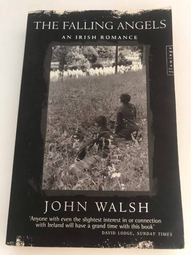 The Falling Angels, An Irish Romance - John Walsh