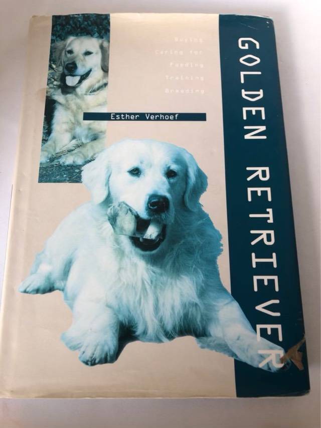 Golden Retriever - Esther J. J. Verhoef-Verhallen