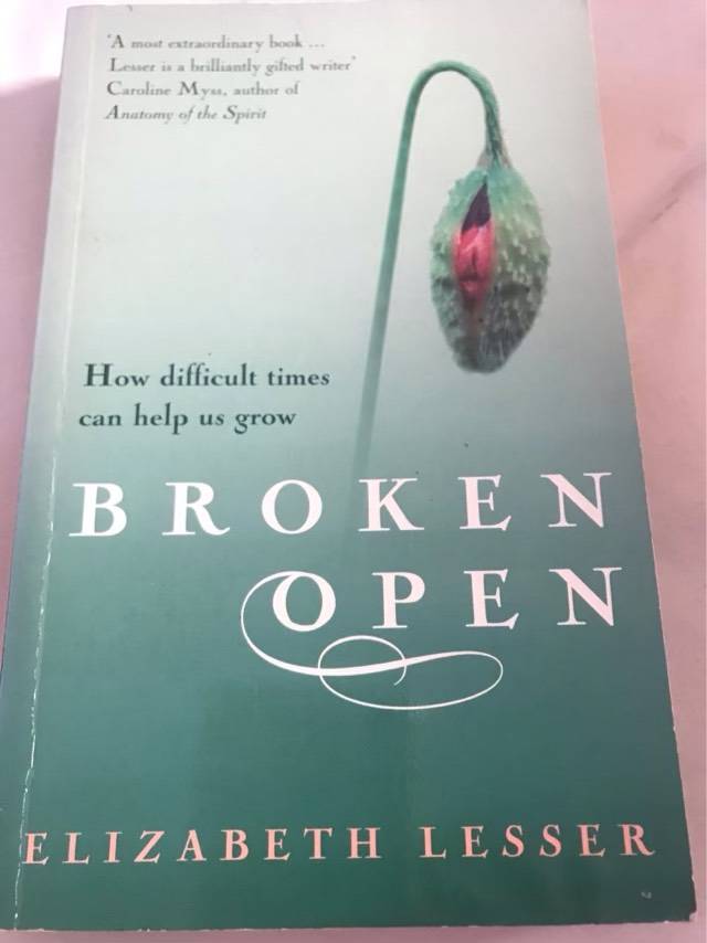 Broken Open, How Difficult Times Can Help Us Grow - Elizabeth Lesser