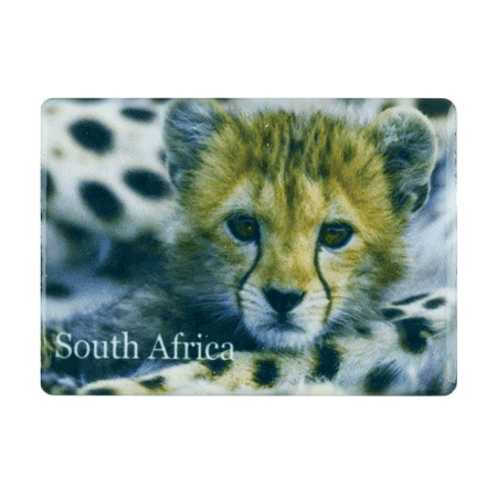 Magnet Cheetah Cub South Africa Flag