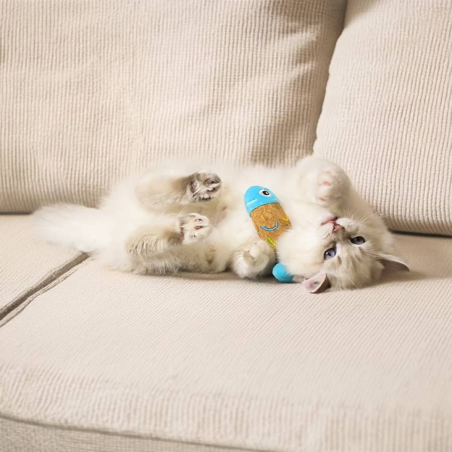 Fish Plush Catnip Toy  Cat Toy | Zugo | Cartoony Catnip Plush Fish Toy for Curious Cats