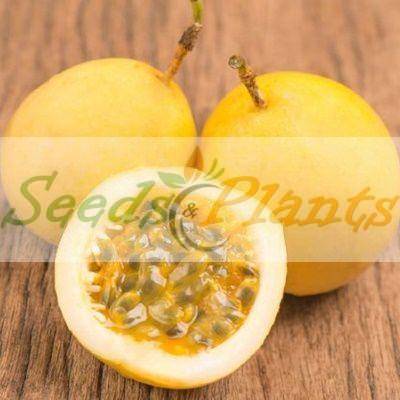Yellow Passion Fruit - 5 Seeds