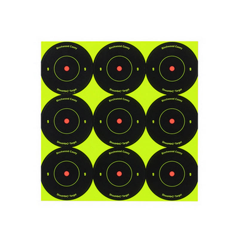 Birchwood Casey Target Shoot-N-C Round 2