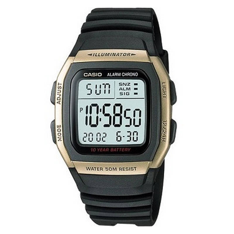 Casio Standard Collection - W-96H-9AVDF
