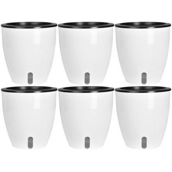 Set Of 6 Self Watering Plant Pots With Water Level indicator Window