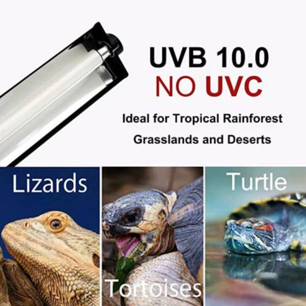 Giangarden High Output 24W T5 10.0 UVB Reptile Lighting Kit