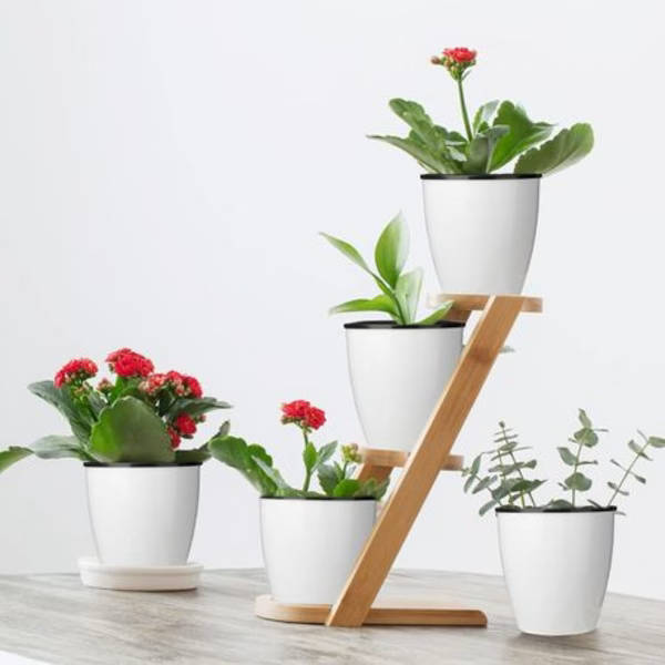 Set Of 6 Self Watering Plant Pots With Water Level indicator Window