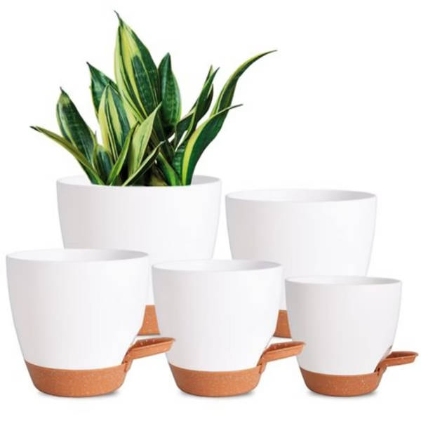 5-Piece Self-Watering Polypropylene Planter Set - (12.5cm to 17cm)