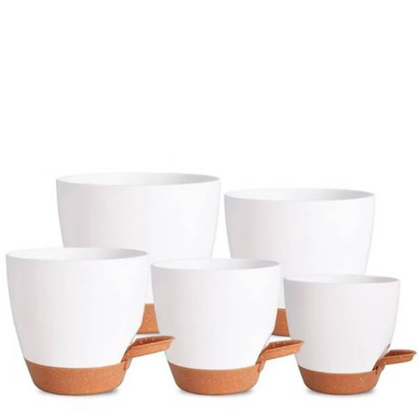 5-Piece Self-Watering Polypropylene Planter Set - (12.5cm to 17cm)