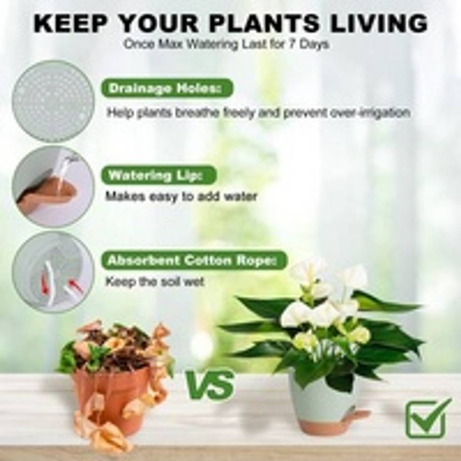 5-Piece Self-Watering Polypropylene Planter Set - (12.5cm to 17cm)