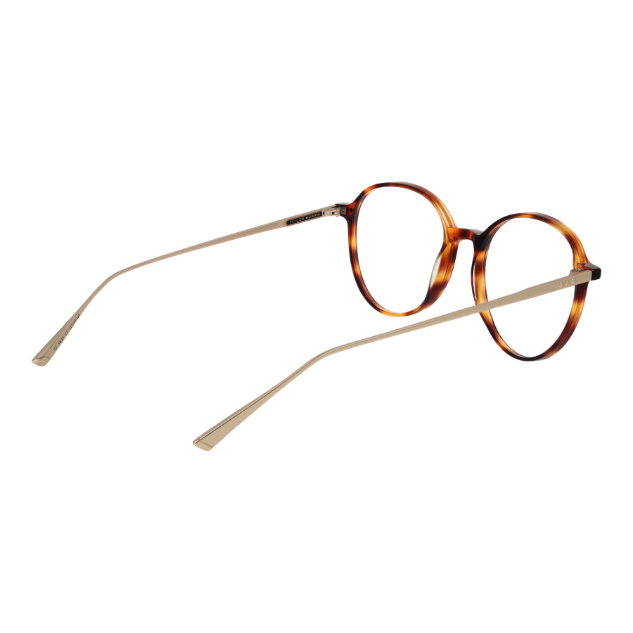 Taylor Morris Unisex Eyeglasses (SW15 C2)