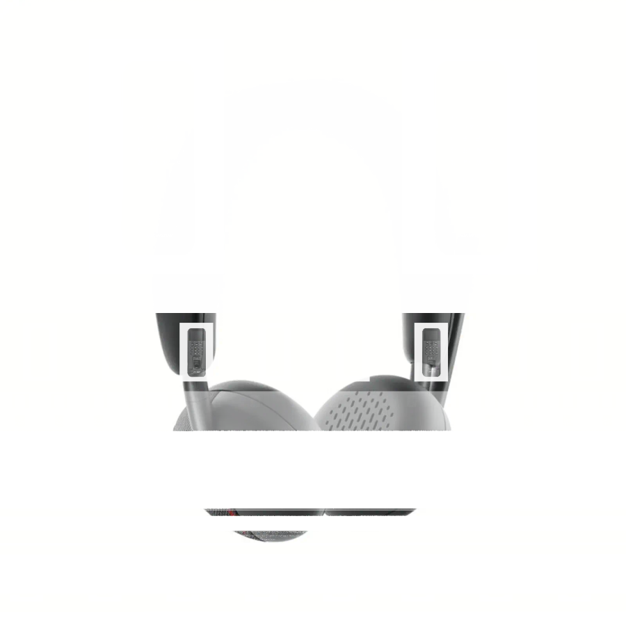 Dell WL3024 AI-based Noise Cancellation Wireless USB-C Headset