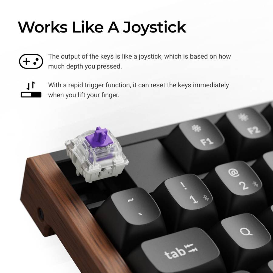 Keychron K10 HE 100% Wireless Magnetic Gaming Keyboard Nebula Switches  Black