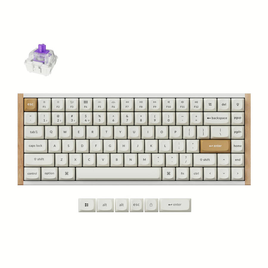 Keychron K2 HE Wireless Special Edition Magnetic Custom Keyboard | NEBULA Switch  White
