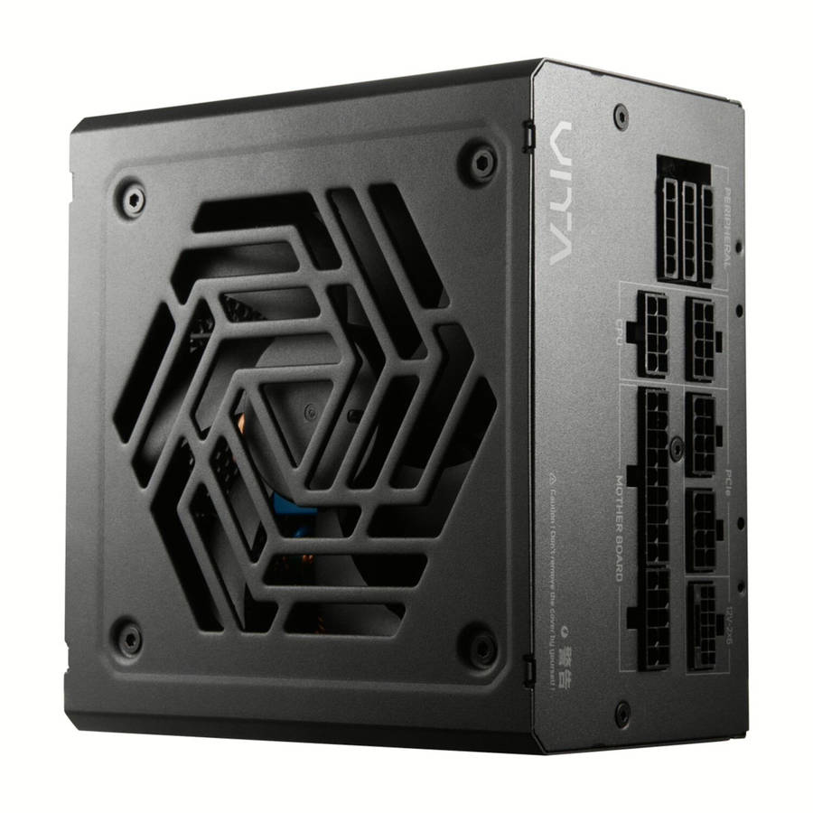 FSP VITA GM 1000W Gold Power SUpply - ATX 3.1, PCIe 5.1, 80 Plus Gold