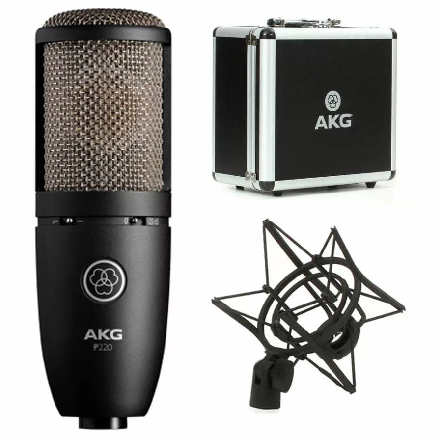 AKG P220 Project Studio Large Diaphragm Condenser Microphone