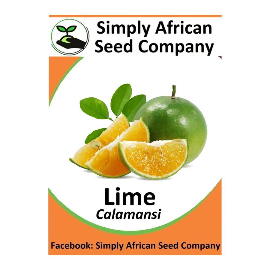Lime (Calamansi) Seeds