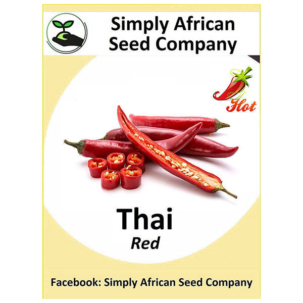 Thai Red Chili Seeds