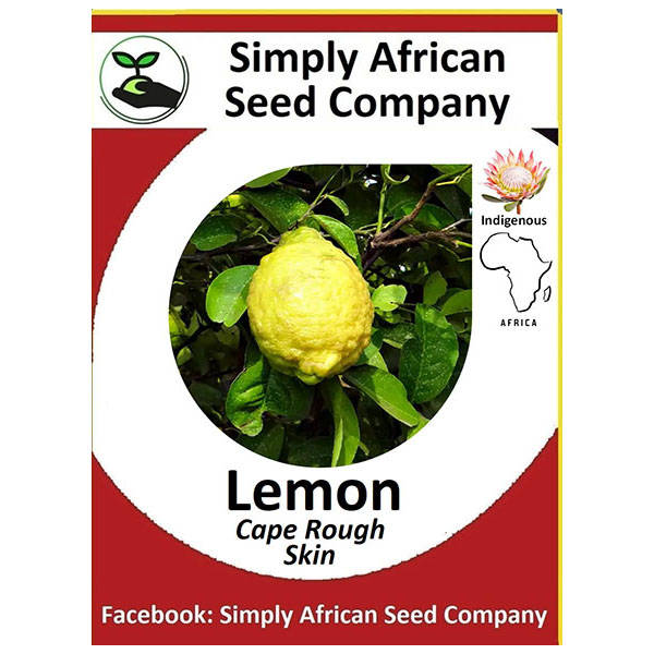 Lemon Cape Rough 6's