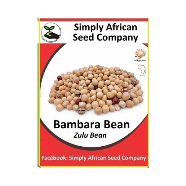 Bambara Bean Seeds