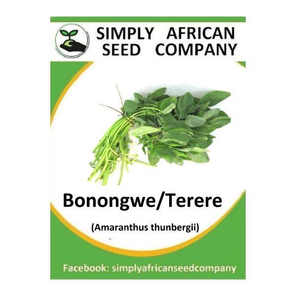 Amaranth,  Amaranthus Thunbergii (Bonongwe/Terere) Seeds