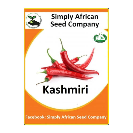 Kashmiri Chilli 15's