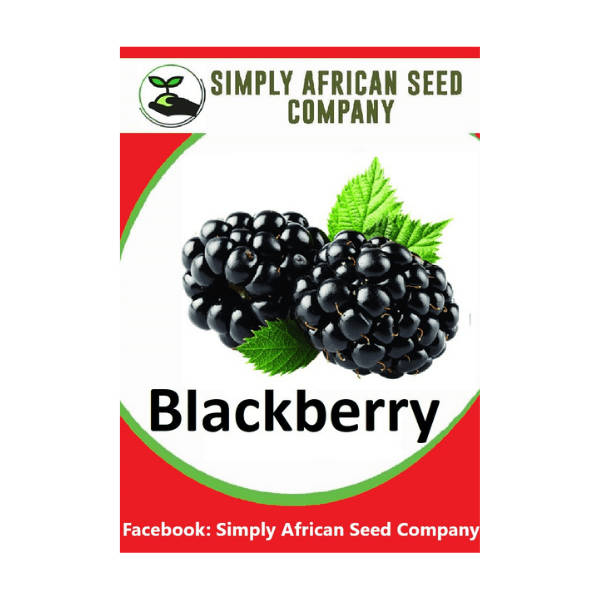 Blackberry Seeds