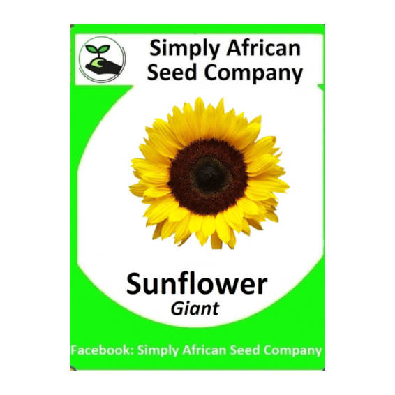 Sunflower Giant